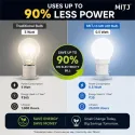MITJ 0.5 Watt LED Bulb - LED Night Lamp