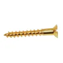 Brass Nut 1.5" (pack of 40)