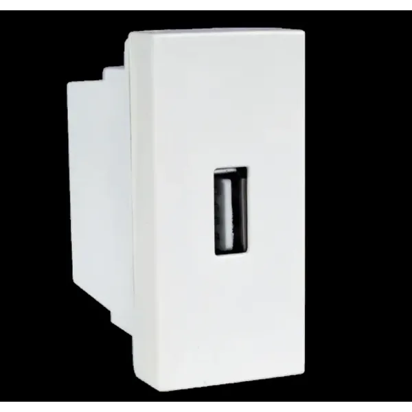 Anchor Penta Compatible moduler usb socket  | 2A  USB charging Socket 