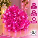 MITJ Flower & Petal Still Pixel LED Jhalar 10M| Pink