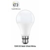 MITJ 12W DC Bulb - Cool White 12V Solar LED