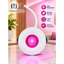 MITJ 1W Spot Light | Pink