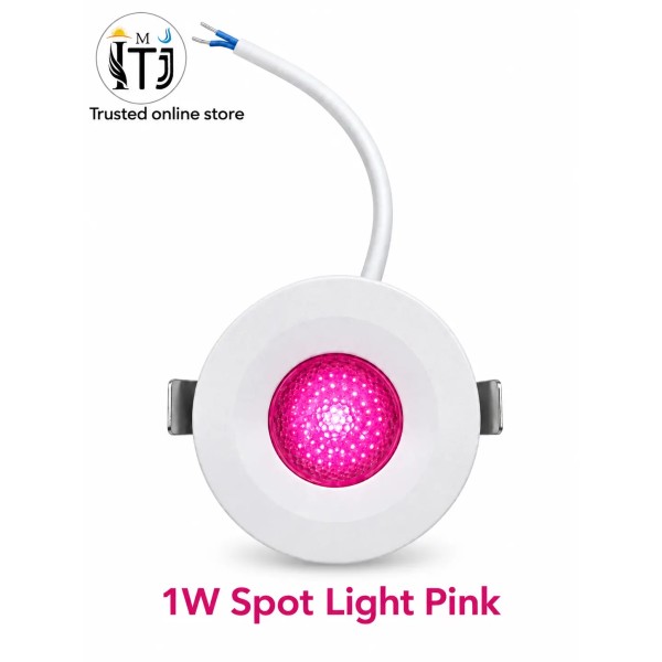 MITJ 1W Spot Light | Pink