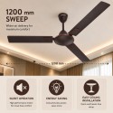 Anchor Croatia Designer Ceiling Fan - 1200mm