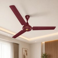 Polar Ceiling Fan - ...