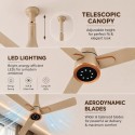 Polycab AeroFame BLDC Fan 1200MM Champange Gold