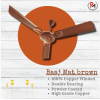 Prince Mysore Designer Ceiling Fan - BAAJ Matte Brown