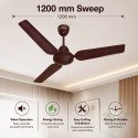 Havells Xpress Air Ceiling Fan - 1200mm, Brown