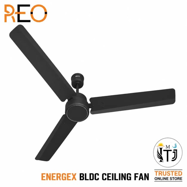 Havells Reo Energex BLDC Ceiling Fan - 1200MM Matte Black