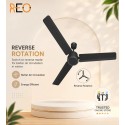 Havells Reo Energex BLDC Ceiling Fan - 1200MM Matte Black