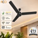 Havells Reo Energex BLDC Ceiling Fan - 1200MM Matte Black