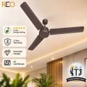 Havells Reo Energex BLDC Ceiling Fan - 1200MM Coca Brown Havells Reo Energex BLDC Ceiling Fan - 1200MM Coca Brown