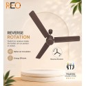 Havells Reo Energex BLDC Ceiling Fan - 1200MM Coca Brown Havells Reo Energex BLDC Ceiling Fan - 1200MM Coca Brown