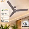 Havells Reo Energex BLDC Ceiling Fan - 1200MM Stone Grey