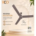 Havells Reo Energex BLDC Ceiling Fan - 1200MM Stone Grey