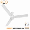 Havells Reo Energex BLDC Ceiling Fan - 1200MM White