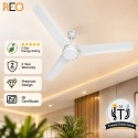Havells Reo Energex BLDC Ceiling Fan - 1200MM White