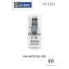 Gratex Petra Mini MCB SP 32A (1M)| White
