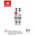 Havells Euro II 40A DP MCB Changeover | [DHMGODPXO40]