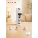 Polycab B-32A SP MCB 10kA Polycab B-32A SP MCB 10kA