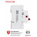 Polycab 63 Amp DP Isolator Polycab 63 Amp DP Isolator