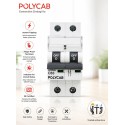 Polycab 63 Amp DP MCB , 10KA Polycab 63 Amp DP MCB , 10KA
