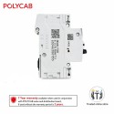 Polycab 63 Amp DP MCB , 10KA Polycab 63 Amp DP MCB , 10KA