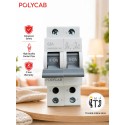 Polycab 63 AMP DP MCB Changeover Polycab 63 AMP DP MCB Changeover
