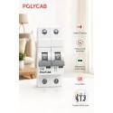 Polycab 40 Amp DP MCB, 10kA Polycab 40 Amp DP MCB, 10kA
