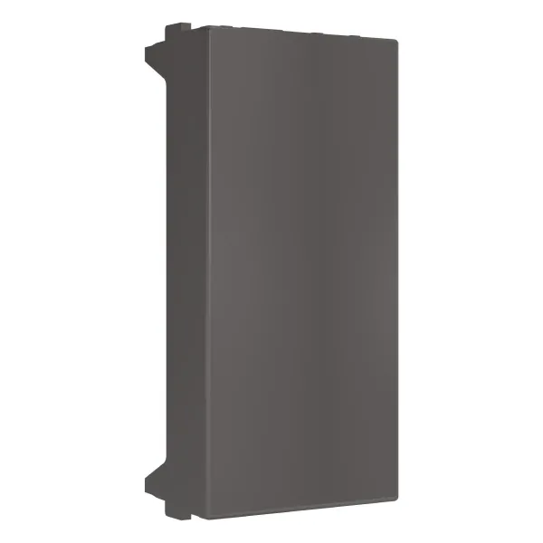 Havells Reo Elegant , 1 M Dummy Plate - graphite grey- AHRPLBGV01