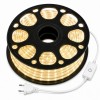 Average 120LED 12/M Rope Light WARM WHITE Colour
